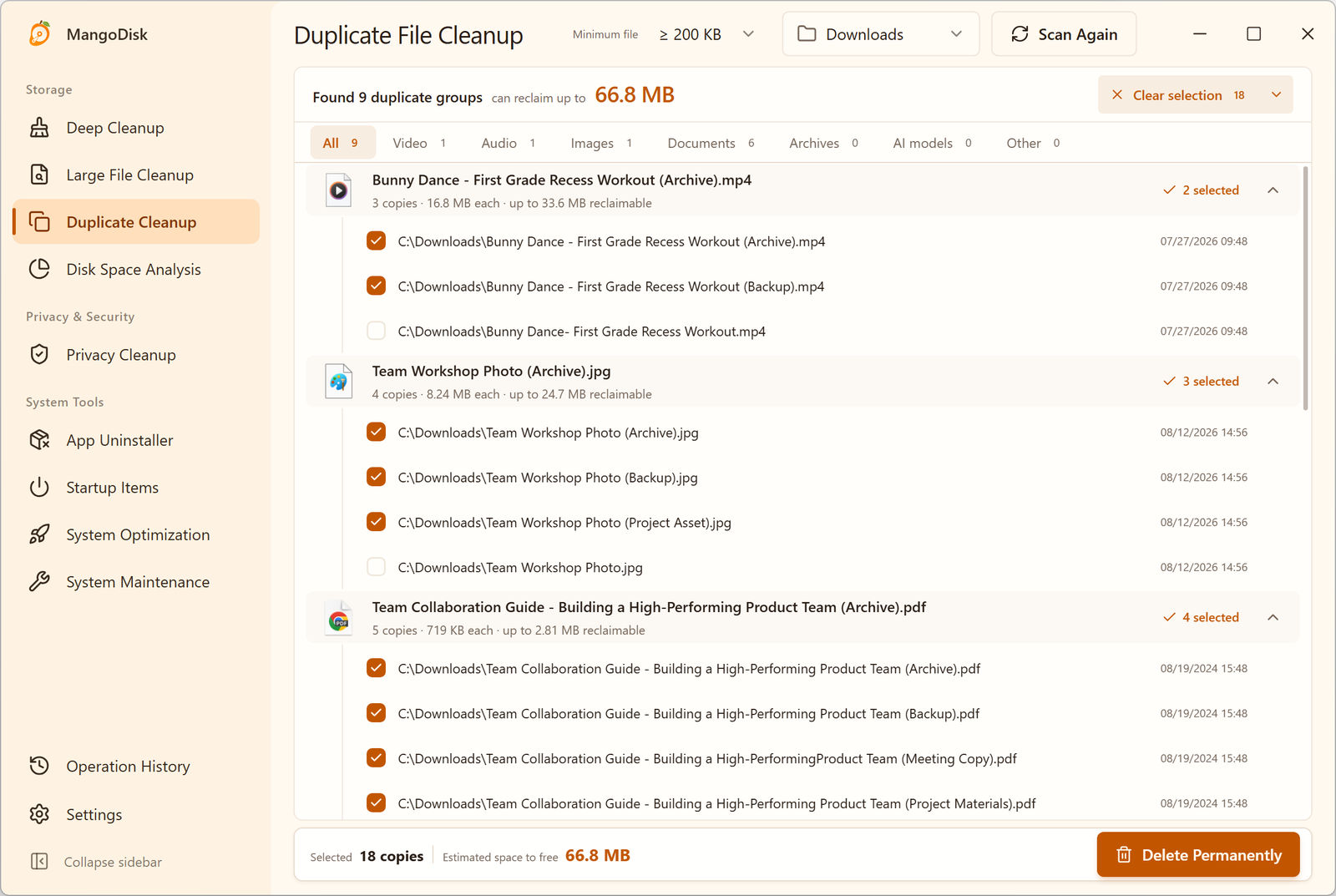 MangoDisk Duplicate File Cleanup on Windows, grouping identical files and showing each copy's location